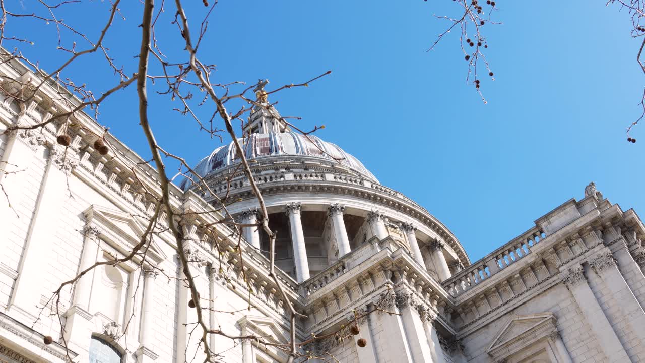 La Cattedrale di San Paolo a Londra con la cupola parzialmente incorniciata dai rami degli alberi. Veduta diurna che mostra l'architettura della chiesa e il cielo blu.