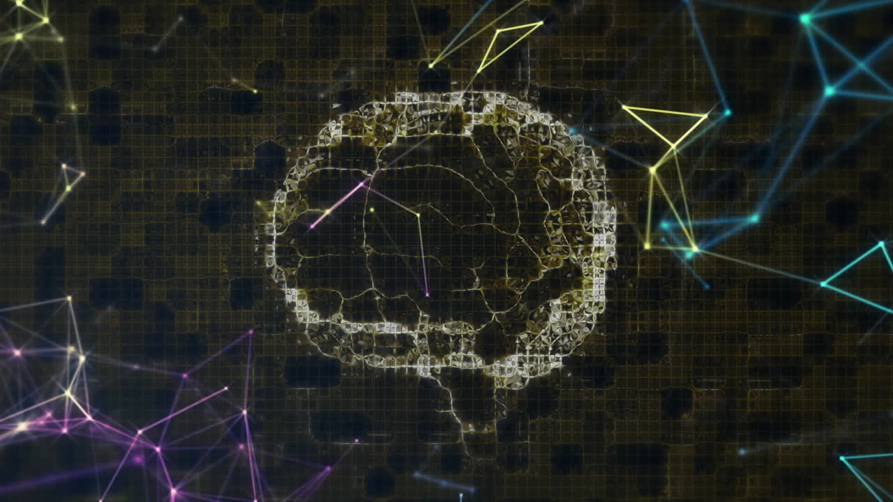 Animation of network of connections over human brain