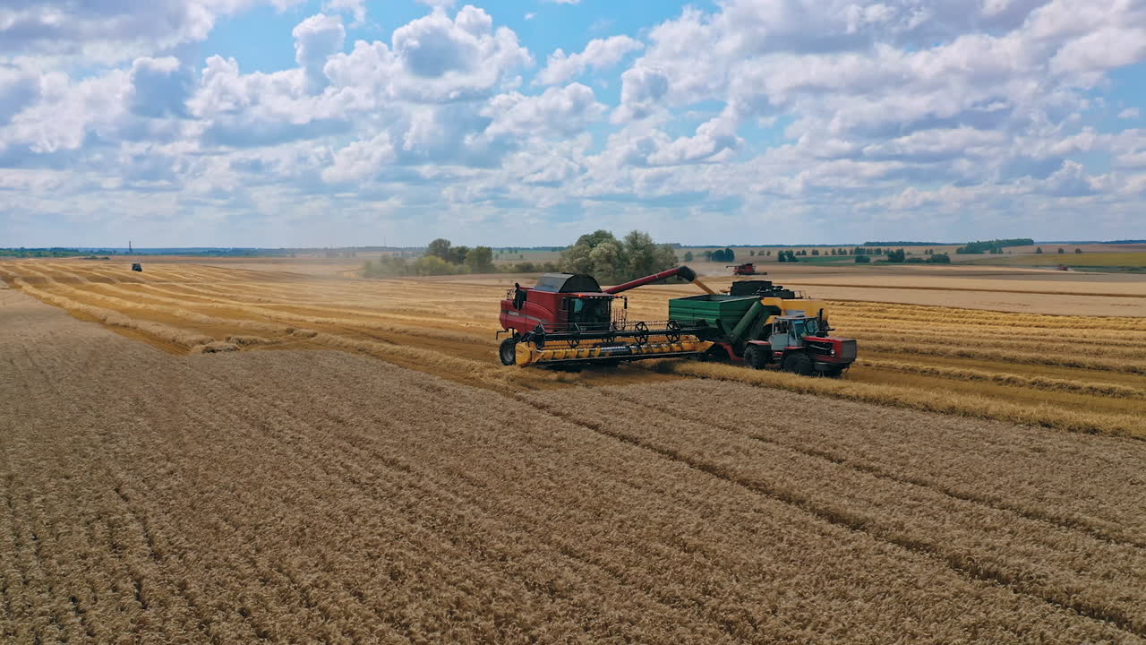 Combine working on wheat field. Harvester combine harvesting wheat and pouring into tractor trailer during wheat harvest