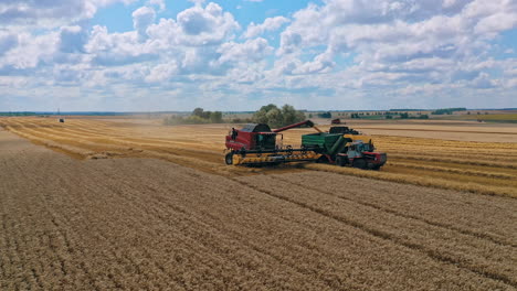 combine working on wheat field. harvester combine harvesting wheat and pouring into tractor trailer during wheat harvest