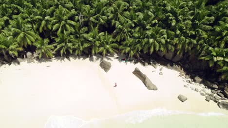 mahe-seychelles-Man-walking-towards-the-ocean-for-a-swim,-beautiful-corner-of-the-beach-with-coconut-palm-trees,-middle-age-woman-sitting-in-the-shade