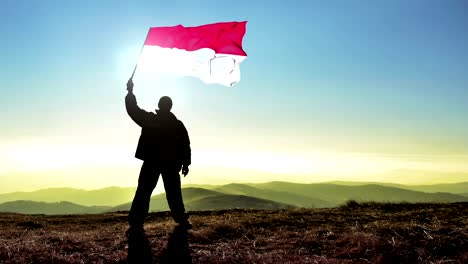 hombre ganador de silueta exitosa agitando la bandera de mónaco en la cima de la montaña, fondo de bucle de cinemagraph