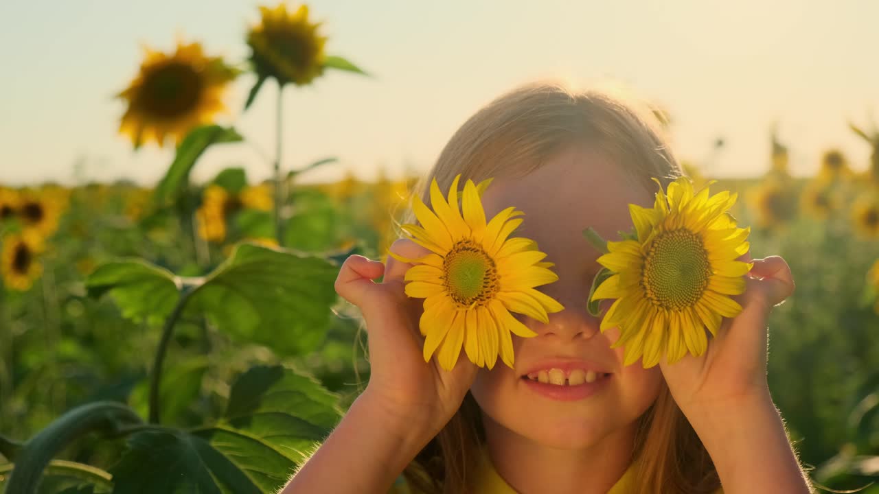 Child Playing with Sunflowers in a Field