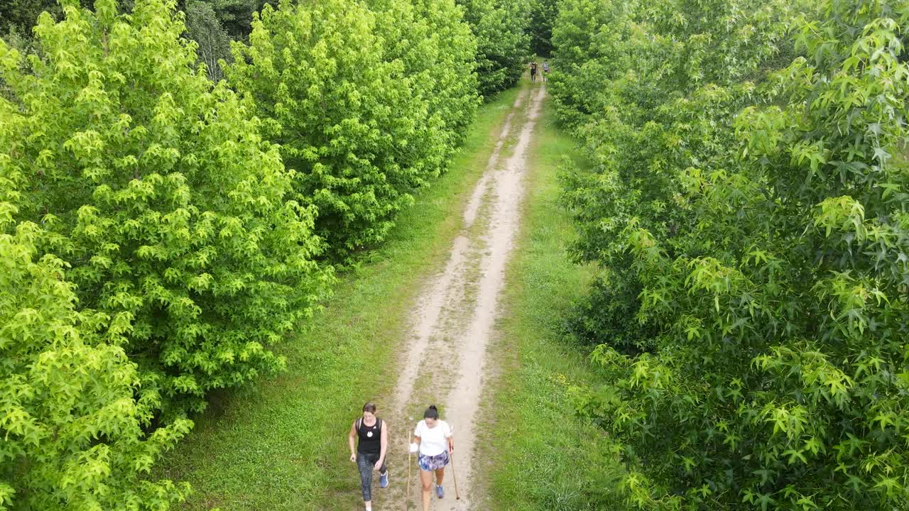 tres mujeres caminan con palos por un sendero natural a través del bosque camino a santiago de compostela