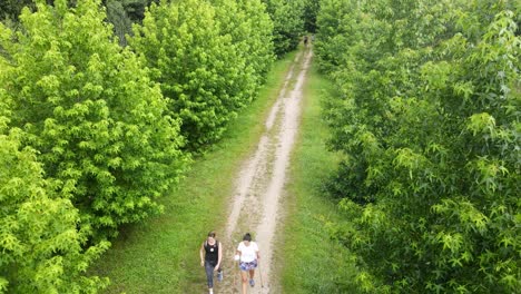 three women hiking with sticks across a natural trail through the forest on the way to santiago de compostela