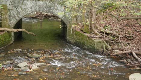 corriente de agua que pasa por debajo del puente de piedra, cerca del puente cubierto, thomas mill en wissahickon creek