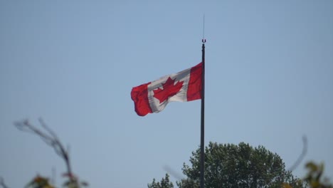 canadian flag on pole waving in the wind against blue sky