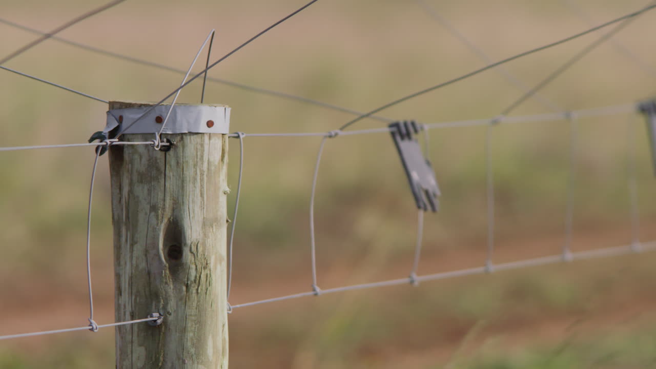 Close-up of a Wooden Fence Post and Wire Fence in a Rural Field