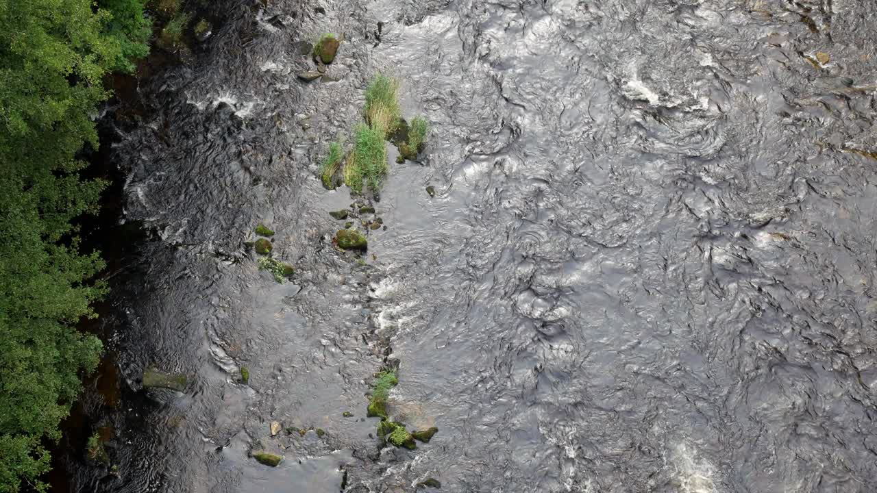 Panoramica su gola fluviale boschiva, natura selvaggia con acqua che scorre e ruscello scenografico