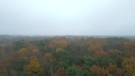 Aerial-footage-of-autumn-foliage-in-stunning-hues-of-orange,-yellow,-and-red-on-a-cold-and-wet-day