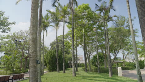 retroceso panorámico en un parque tranquilo local en hong kong