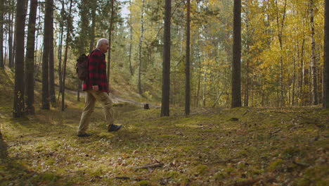 Einsamer-Rucksacktourist-Im-Wald-An-Einem-Herbsttag.-Wunderschöne-Landschaft-Mit-Vergilbten-Bäumen.-Entspannen-Sie-Sich-Im-Wald