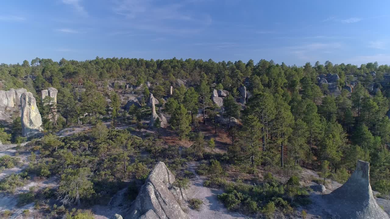 съемка леса в долине лос мониес, район медного каньона, штат чиуауа.