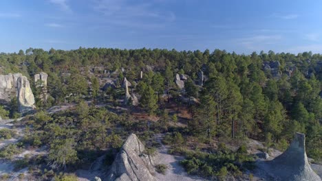 Aerial-dolly-back-shot-of-the-forest-in-El-Valle-de-loss-Monies,-Copper-Canyon-Region,-Chihuahua