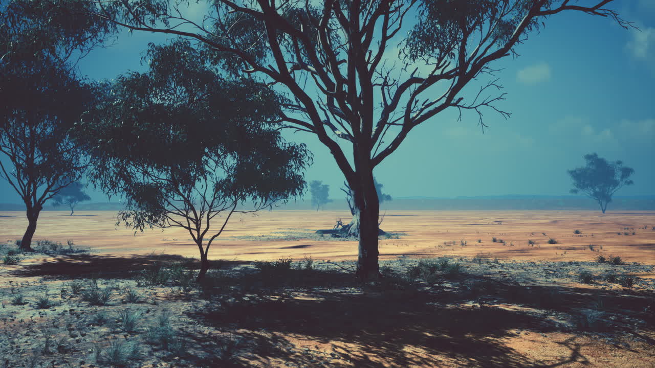 아름다운 아카시아 나무 가 있는 아프리카 풍경