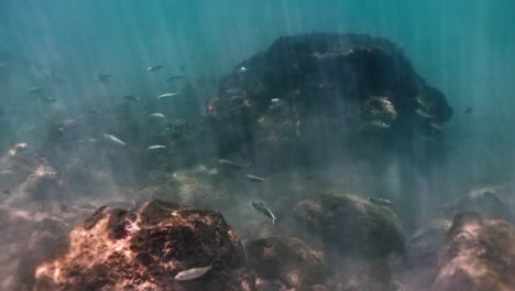 sunlight filters through underwater rocks with fish