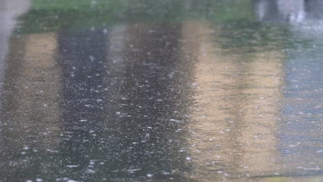 Leichter-Bis-Mäßiger-Regen.-4K-Nahaufnahme