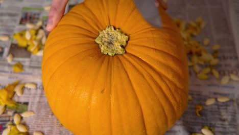 tallado de calabaza en la parte superior de la linterna con un cuchillo grande: calabaza naranja madura y vívida tallada para la decoración de halloween