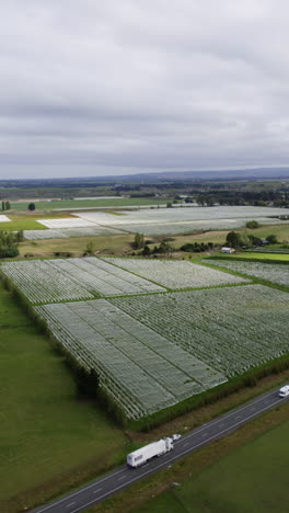 vertical drone shot of truck passing a vineyard in rural new zealand, cloudy day