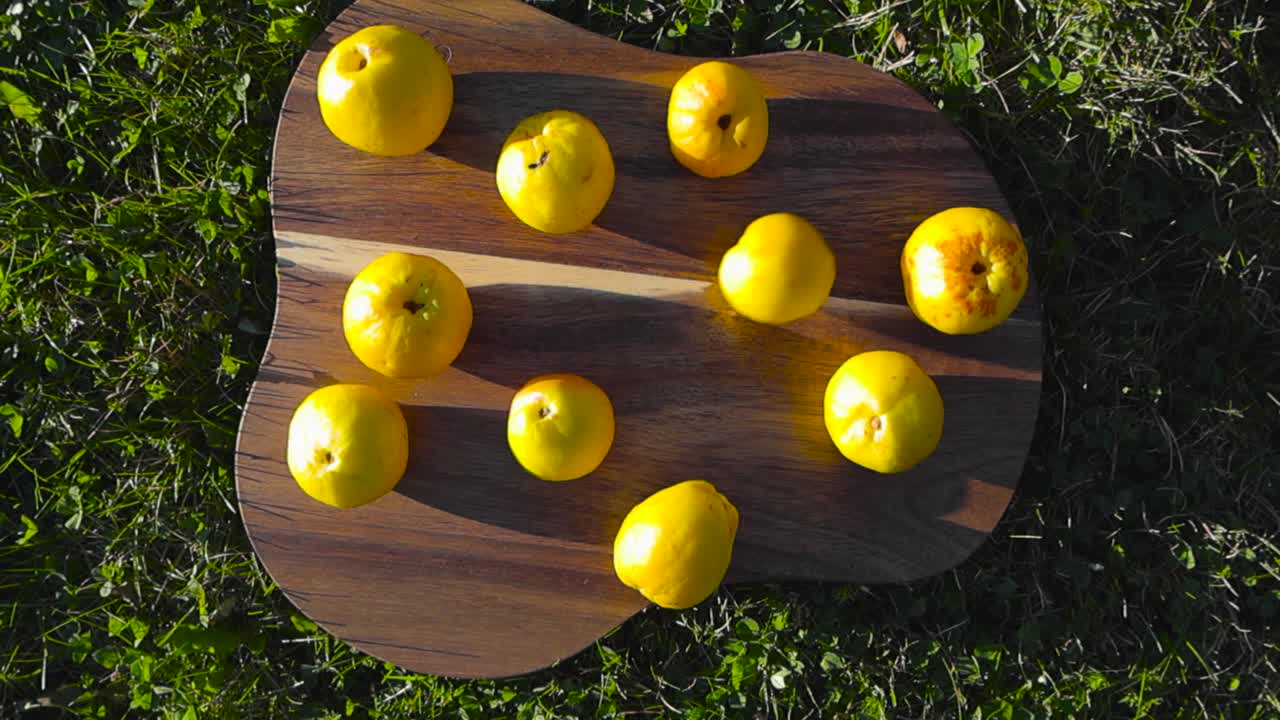 Overhead footage of yellow quince fruits rolling onto the wooden cutting board on the green grass. Daylight highlighting golden-yellow fruits, making shadows as they slowly moving on a sunny day