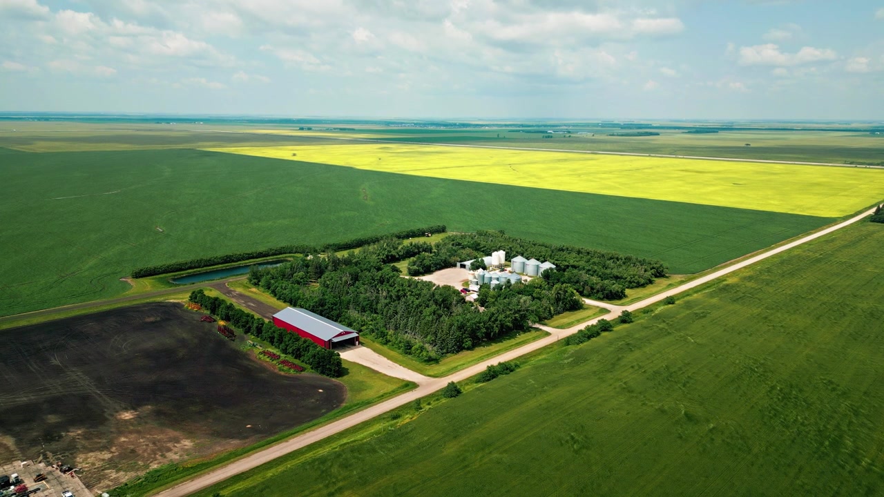 Static aerial drone shot of a prairie farmstead framed by trees with farm buildings, a dirt yard, wheat crops, and canola fields in the distance