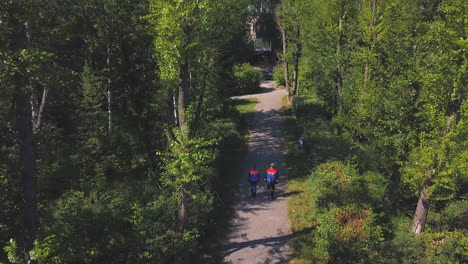 people walking on a path in a forest park