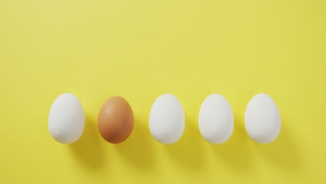 video of row of one brown and four white eggs with copy space on yellow background