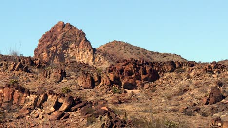 rocky desert environment landscape in texas harsh sunlight, usa