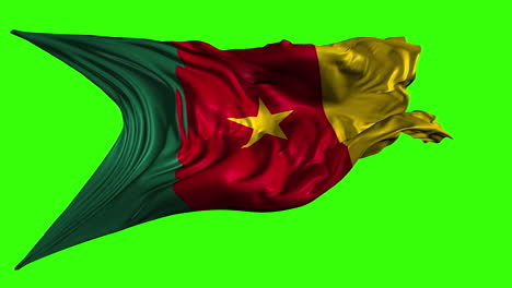 cameroon flag on green screen
