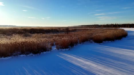 aerial field of tall grass near river and lake with snow on the ground