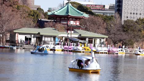 paddle boats moving on a serene urban lake