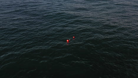 shark drum line buoy in the ocean at bondi, sydney australia