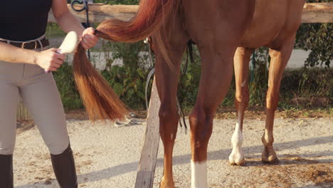 mujer manteniendo la cola del caballo peinándola con un cepillo, disparo de mano