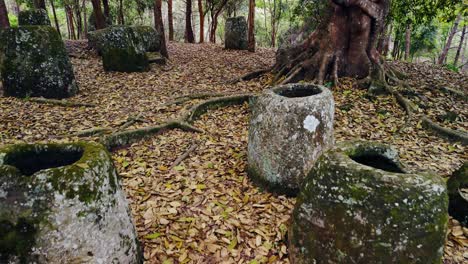 llanura de las jarras, phonsavanh, laos