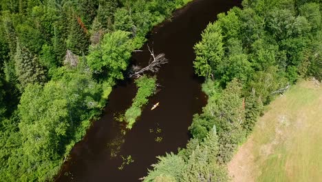 Seguimiento-De-La-Toma-De-Un-Dron-De-Un-Kayakista-Masculino-Remando-Lentamente-A-Través-De-Un-Hermoso-Río-Rodeado-De-Un-Exuberante-Bosque-Verde-En-Las-Zonas-Rurales-Al-Aire-Libre-De-Canadá