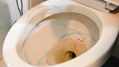 static video of a white caucasian cleaning out a dirty white porcelain toilet bowl with a bristle brush and blue toilet cleaner