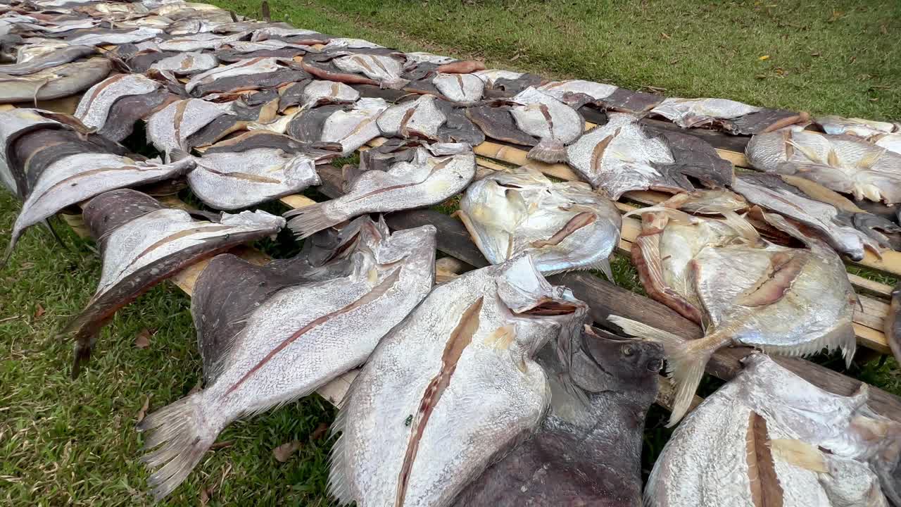 Essiccazione naturale del pesce nel villaggio di Masoala, Madagascar.