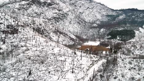 devastating forest fire's lasting impact: retrospective pull back shot of burned trees and snowy mountains in the north thompson river region near kamloops, bc