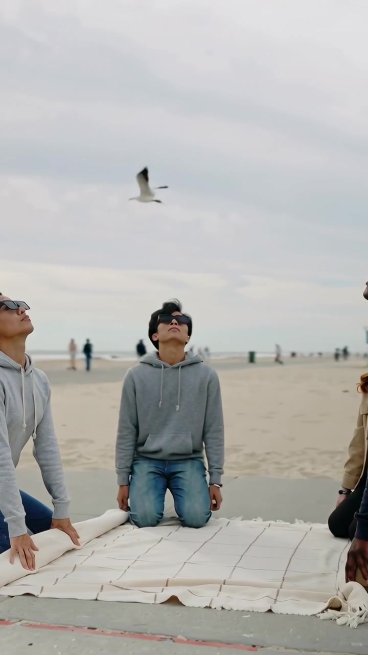 Vertikal video: Fire venner folder tæppe ud på underlag nær sand, ser måge flyve.