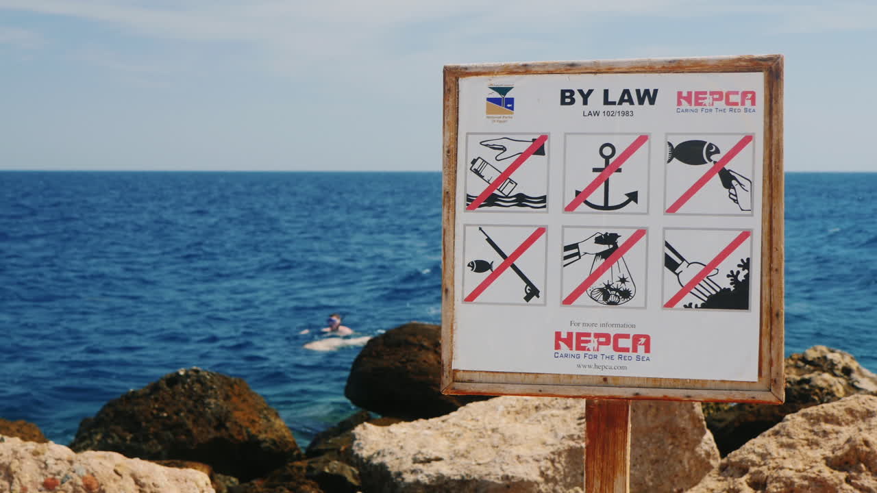 홍해의 행동 규칙이 적힌 접시