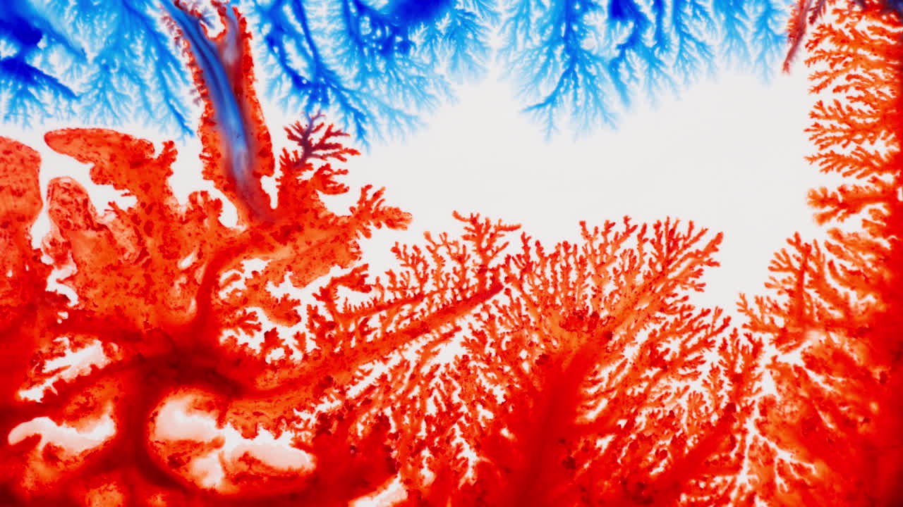 Red And Blue Color Ink Creating Abstract Artwork. Close-up Shot