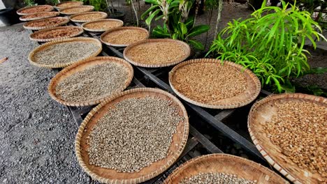 Many-baskets-of-famous-Luwak-coffee,-motion-view