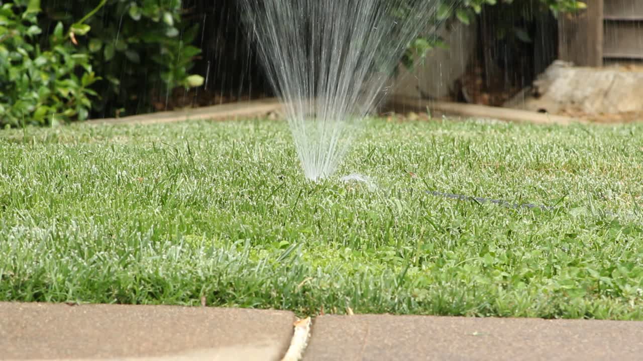 Lawn Sprinkler Turns on Green Grass Suburban