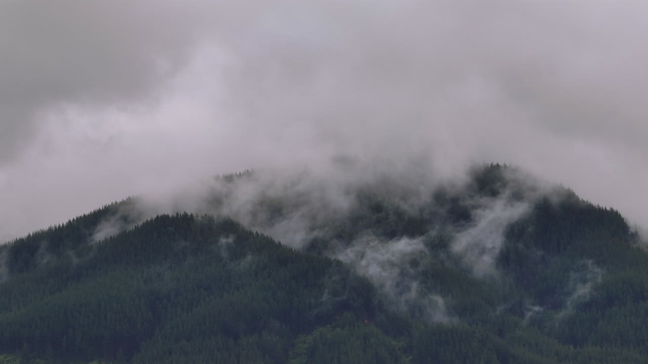 Drone Shot of Rain Clouds Moving Over Heavily Forested Mountain Range, New Zealand