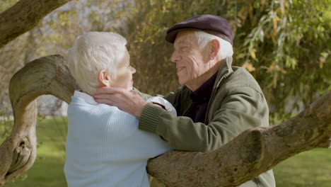 Romantic-Senior-Couple-Talking-And-Kissing-While-Leaning-On-Low-Tree-Branch-At-Park-On-Sunny-Autumn-Day