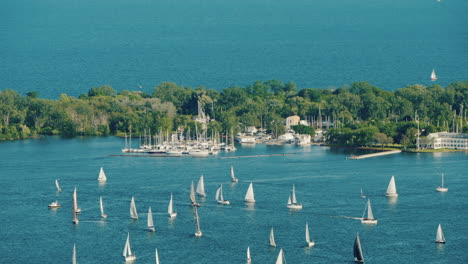 Regata-De-Vela-Alrededor-De-La-Isla-Central-Frente-A-Toronto,-Canadá