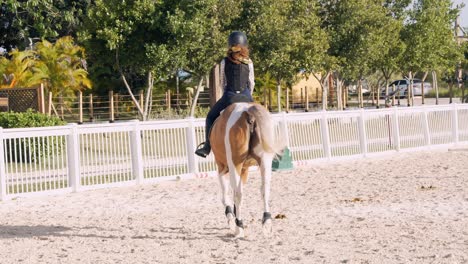 young rider with her horse practicing at fenced barn on a sunny day