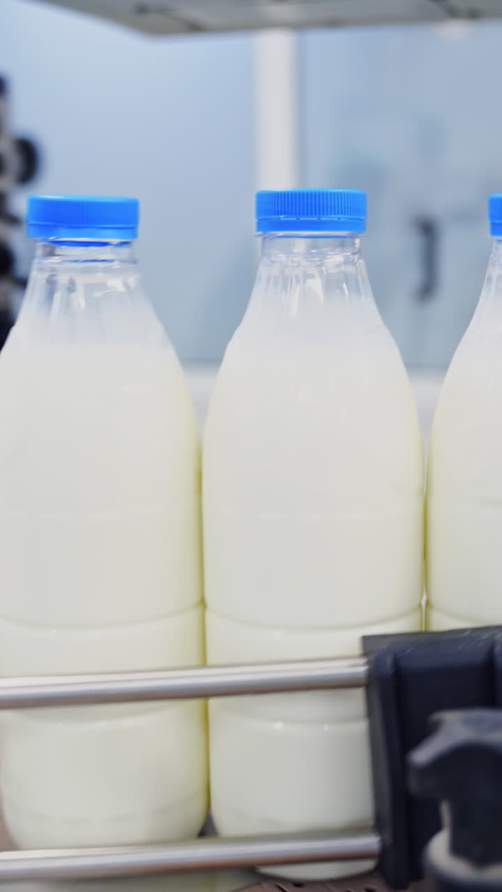 Milk production line at dairy factory. Automated production line at milk factory. Modern plant for bottling milk in plastic bottles. Vertical video