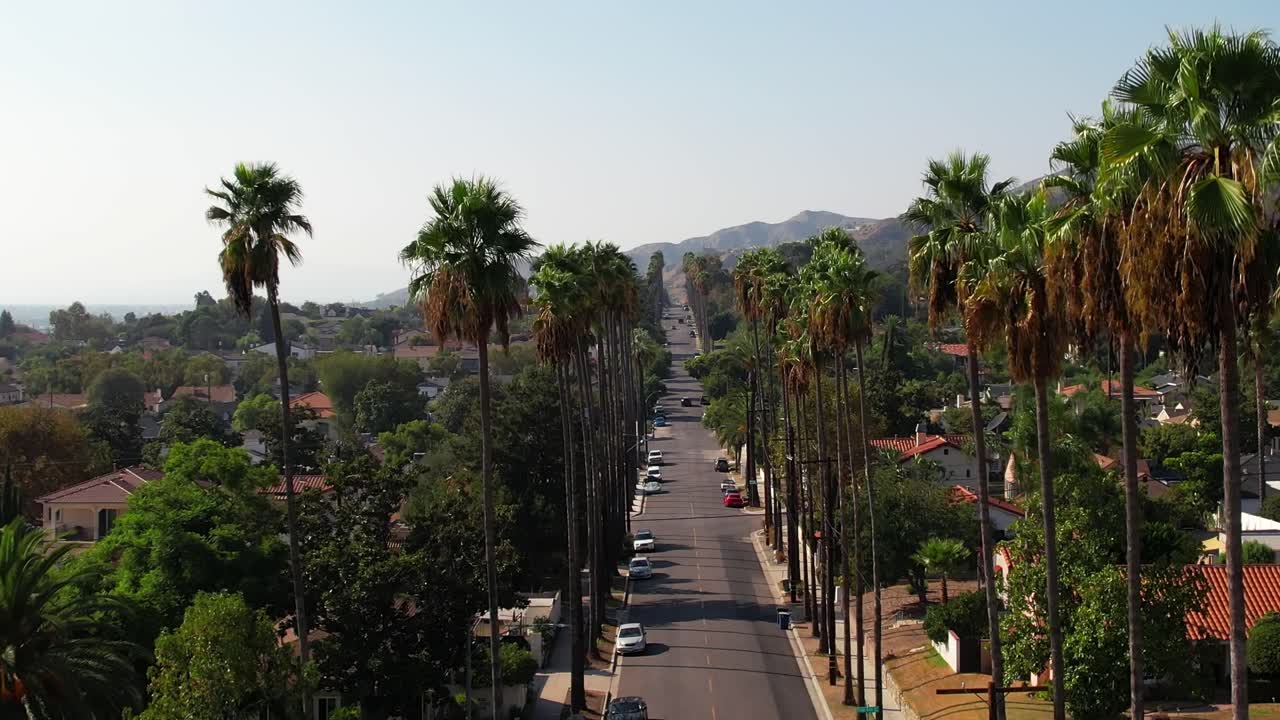 Strada fiancheggiata da palme nel quartiere di Burbank