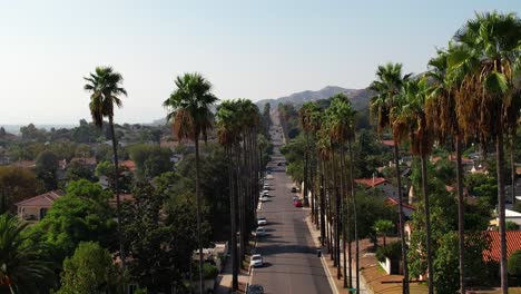 Palm-Tree-Lined-Street-In-Burbank-Neighborhood